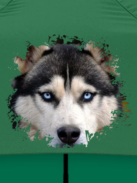 Husky