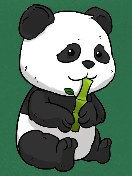 Panda Bambus Pandabär