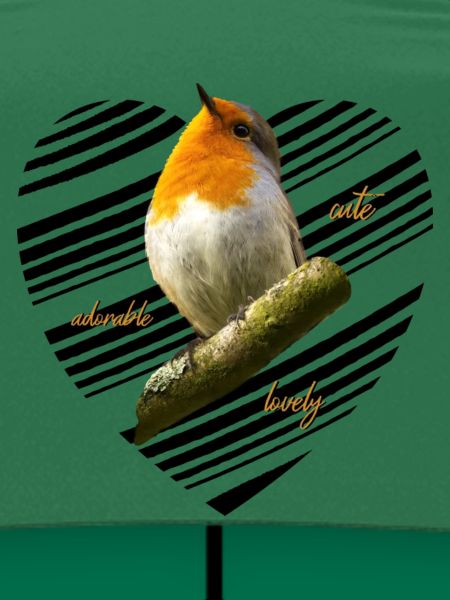 Rotkehlchen Singvogel