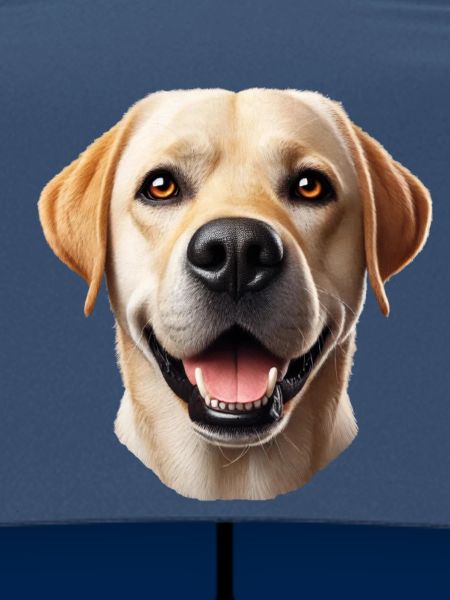Grinsender Labrador
