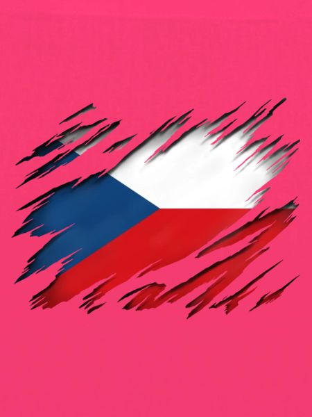 Tschechische Flagge