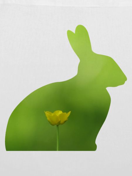 Hase