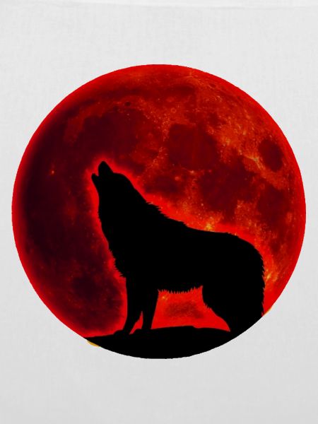 Wolf Vollmond