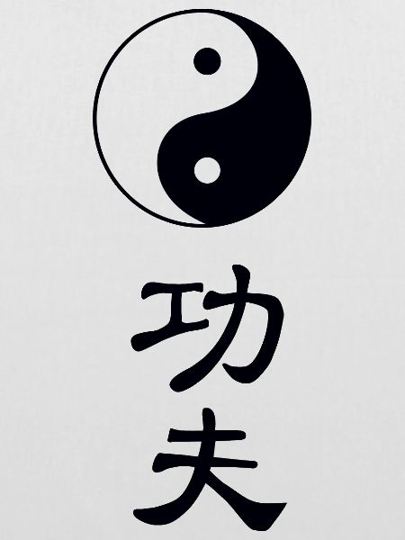 tao kung fu