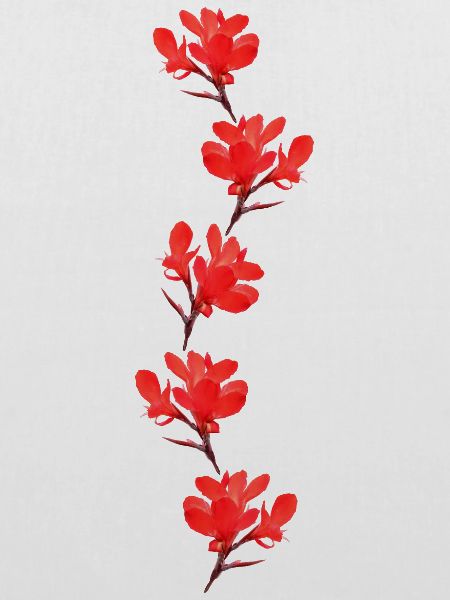 rote Blumen