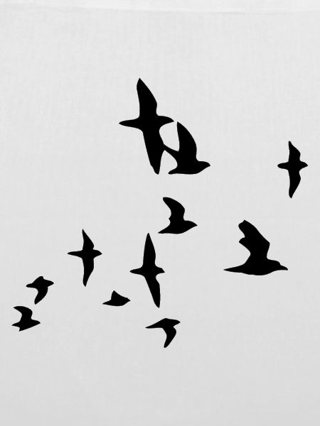 birds