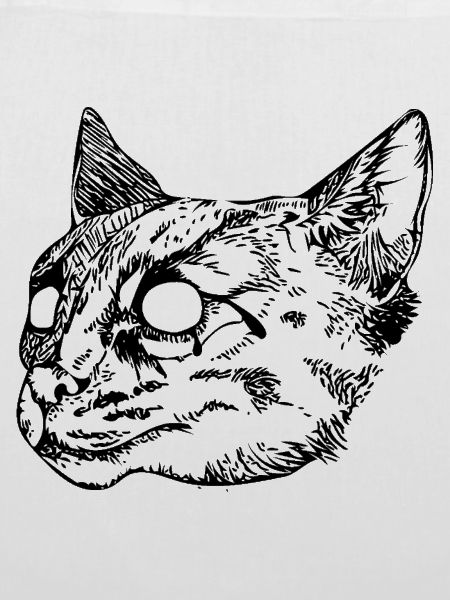 Wildkatze