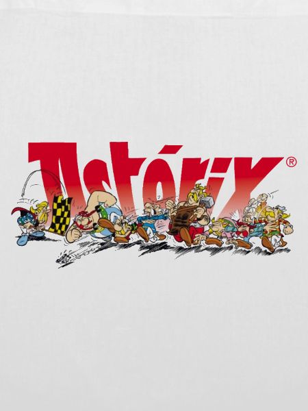 Asterix & Obelix Rennstart