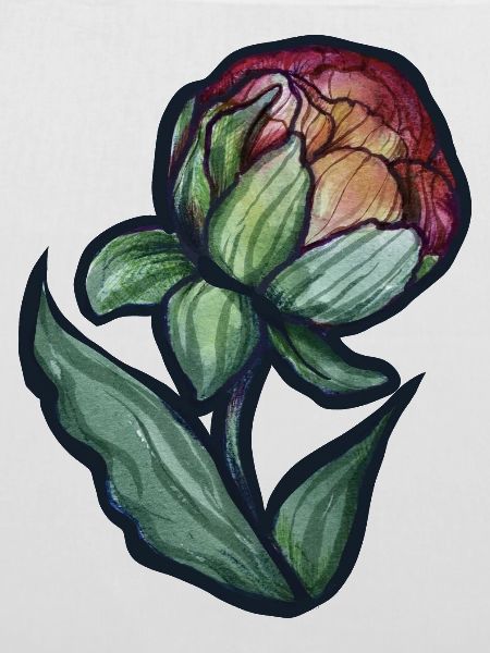 Aquarell Pfingstrosenblüte