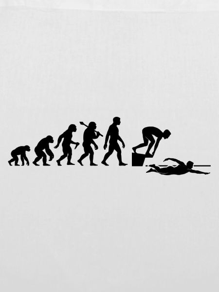 Schwimmer Evolution Schwimmen Für Schwimmlehrer