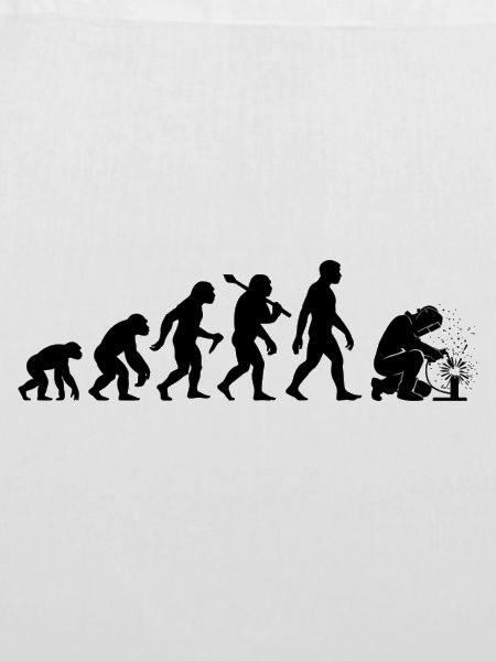 Schweißer Evolution Schweißen Ausbildung