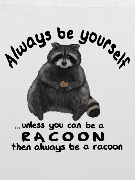 Always be yourself - Waschbär mit Keks