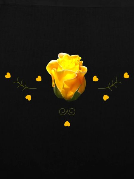 Rose gelbe Rose
