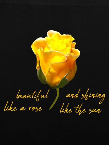 beautiful rose