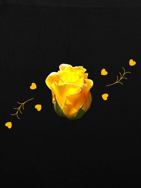 rose yellow rose