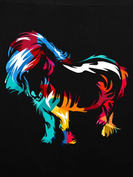 Robustes Shetlandpony Reitstallfreund