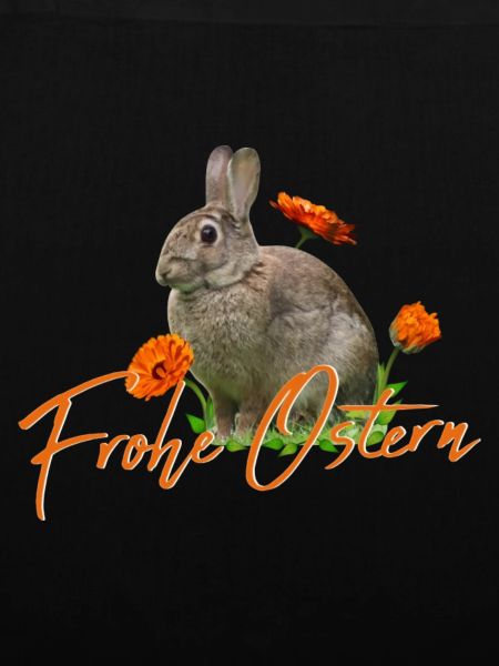 Frohe Ostern Osterhase