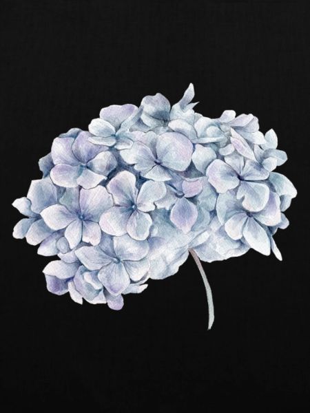 Blume