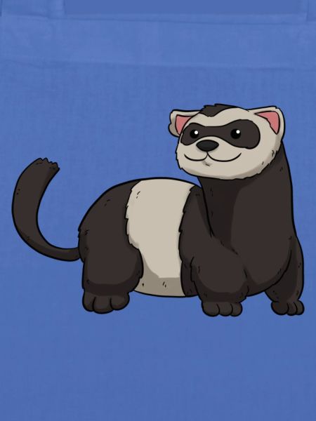 Ferret Frettchen