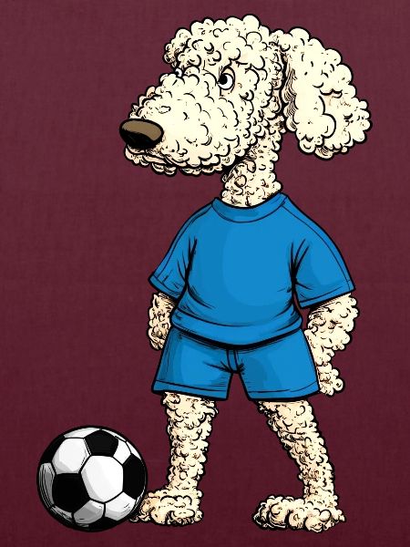 Pudel Fussballer Hund
