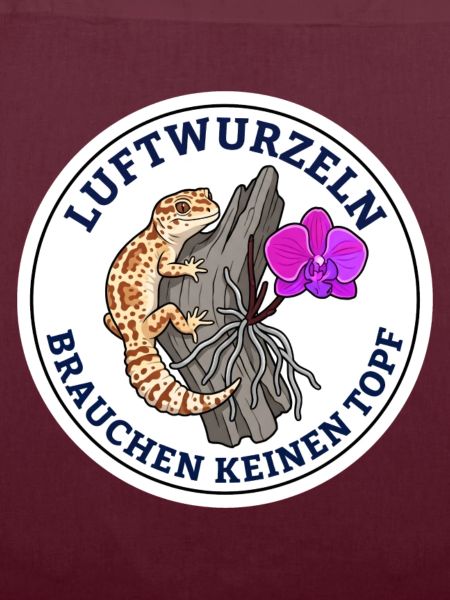 Luftwurzeln Brauchen Keinen Topf Orchidee