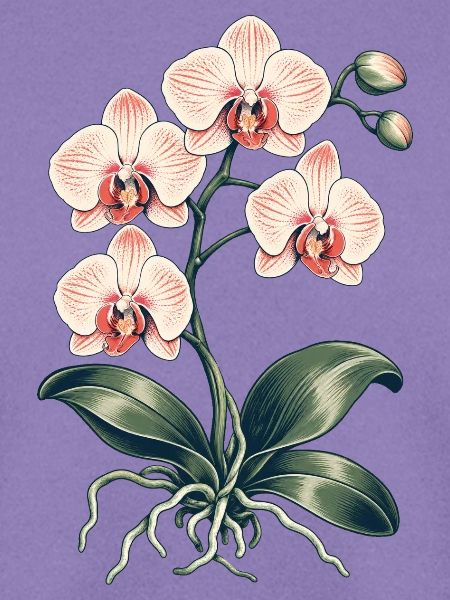 Orchideenliebe – botanische Blüten