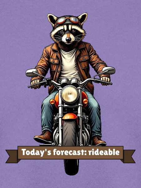 Today's Forecast: Rideable – Biker-Waschbär