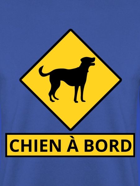 Hund an Bord