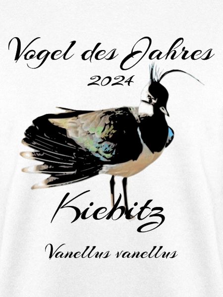 Kiebitz, Vogel des Jahres 2024