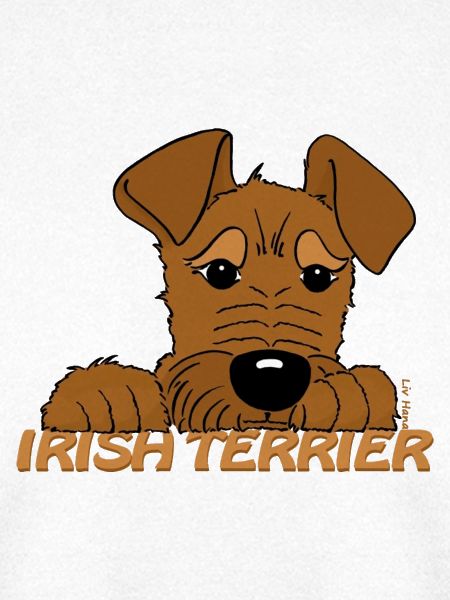 Irish Terrier Kopf