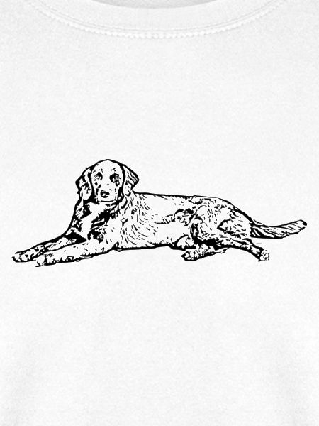 Hund schwarz