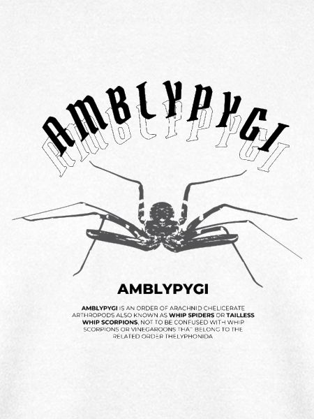 Geißelspinne - Amblypygi