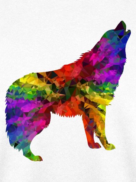 Wolf Regenbogen