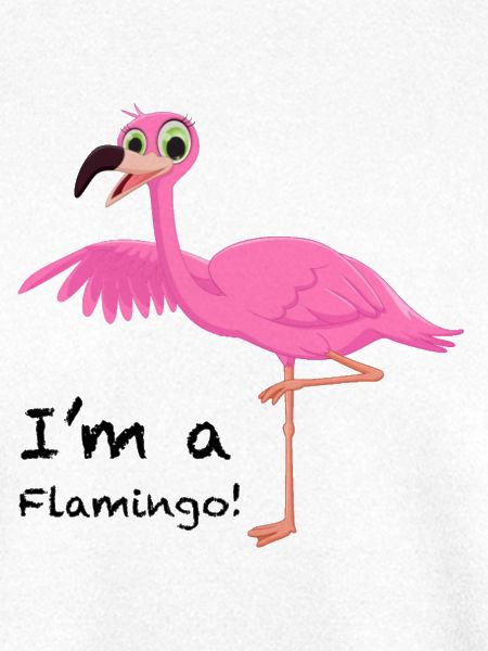 Flamingo Pose in Pink