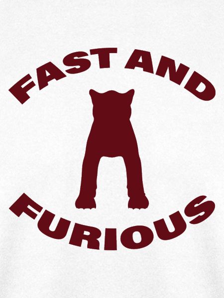 FAST