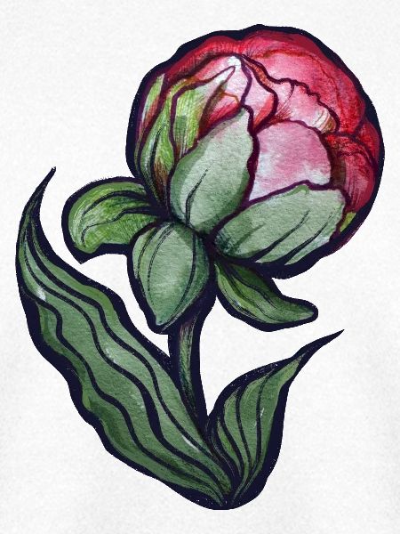 Petal Bloom Aquarell Pfingstrose