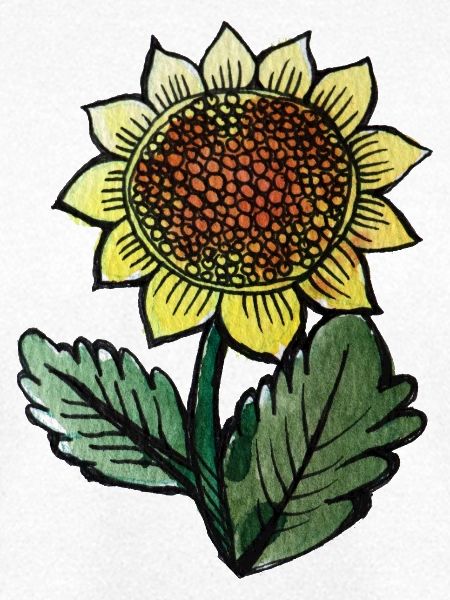 Sonnenblumen-Skizze-Botanischer Tee