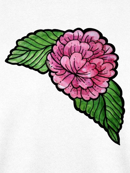 Rosa Pfingstrose auf schwarzer Seide