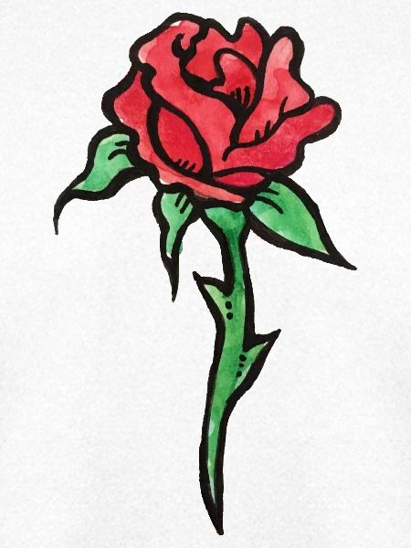 Crimson Rose Aquarell-Skizze