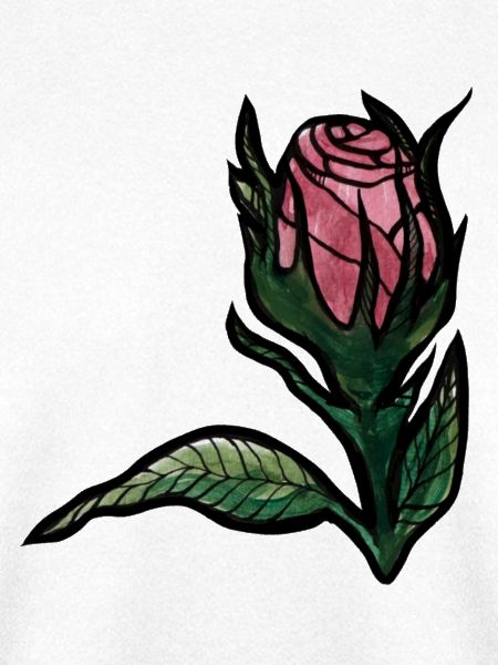 Rosenblüte auf Mitternachtsschwarz