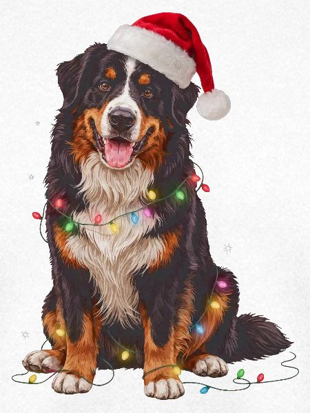 Berner Sennenhund Weihnachten Lichterkette