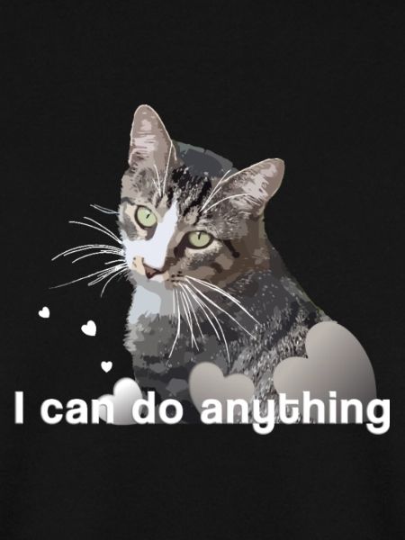 Katze Mietze Kater Kätzchen