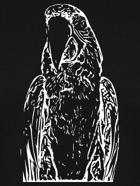 Papageien Vogel weiß