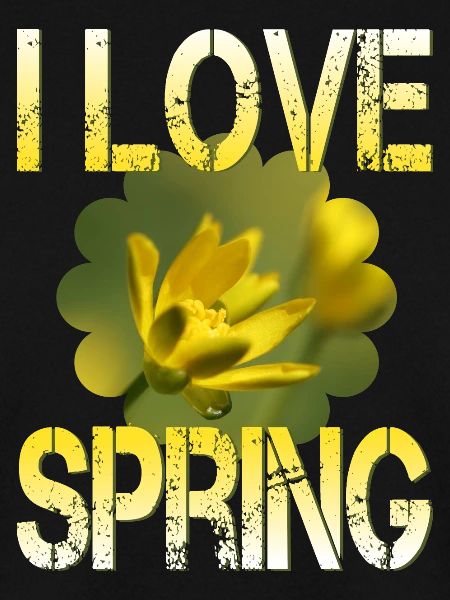 I love spring Frühling