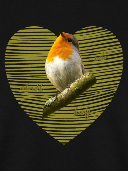 Rotkehlchen Singvogel