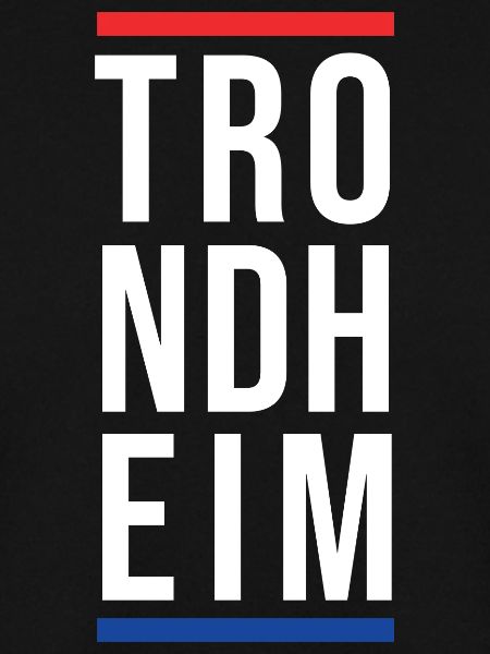 Stadt Trondheim