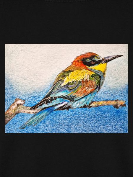 Vogel - Bienenfresser II.