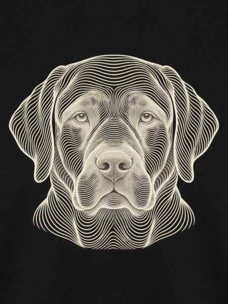 Hundekopf – Optische Konturkunst