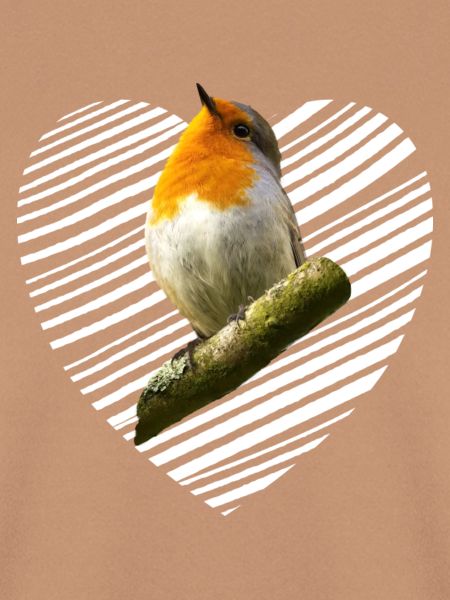 Rotkehlchen Singvogel