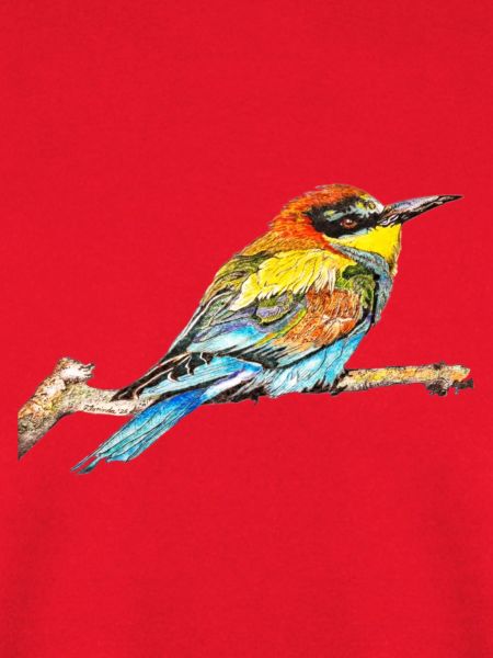 Bienenfresser I. - Vogel
